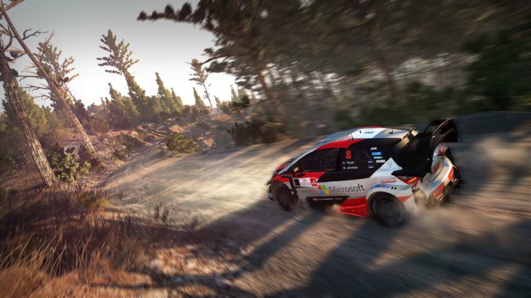 Wrc 8 как играть вдвоем на ps4